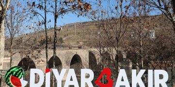 Diyarbakır Sohbet Odaları