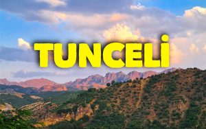 Tunceli Sohbet Odaları